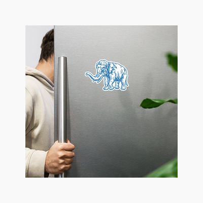 Flexible Vinyl Magnets