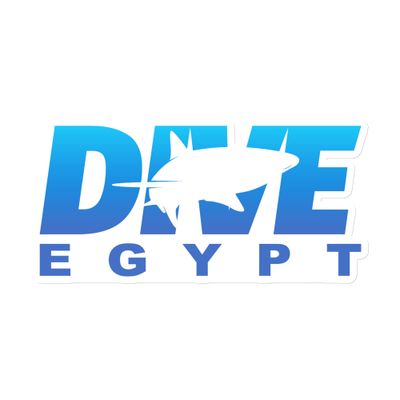 Dive Egypt with Shark Magnet