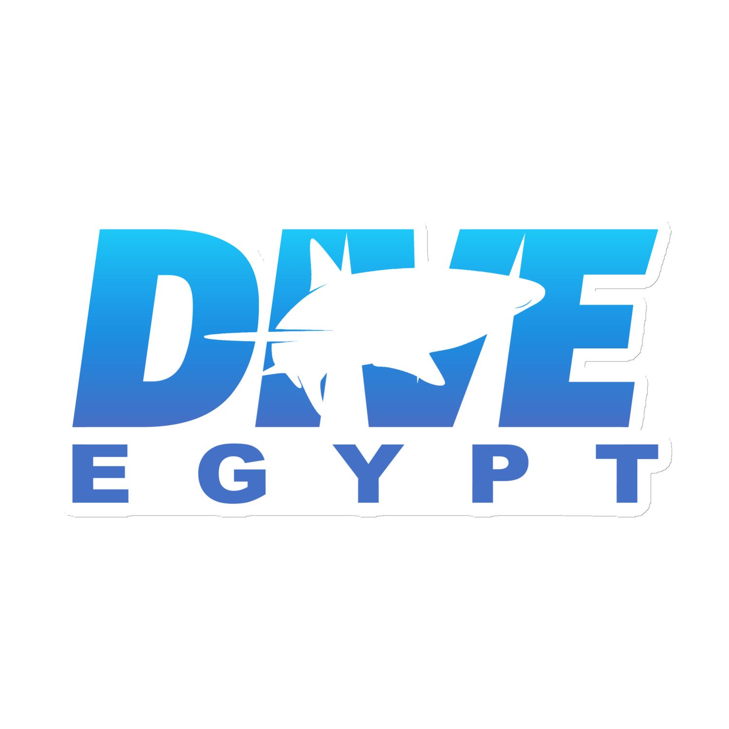 Dive Egypt with Shark Magnet