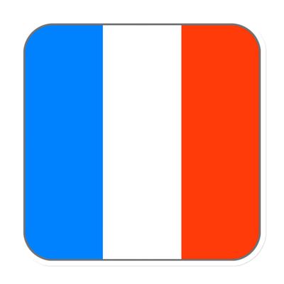 France Flag Magnet