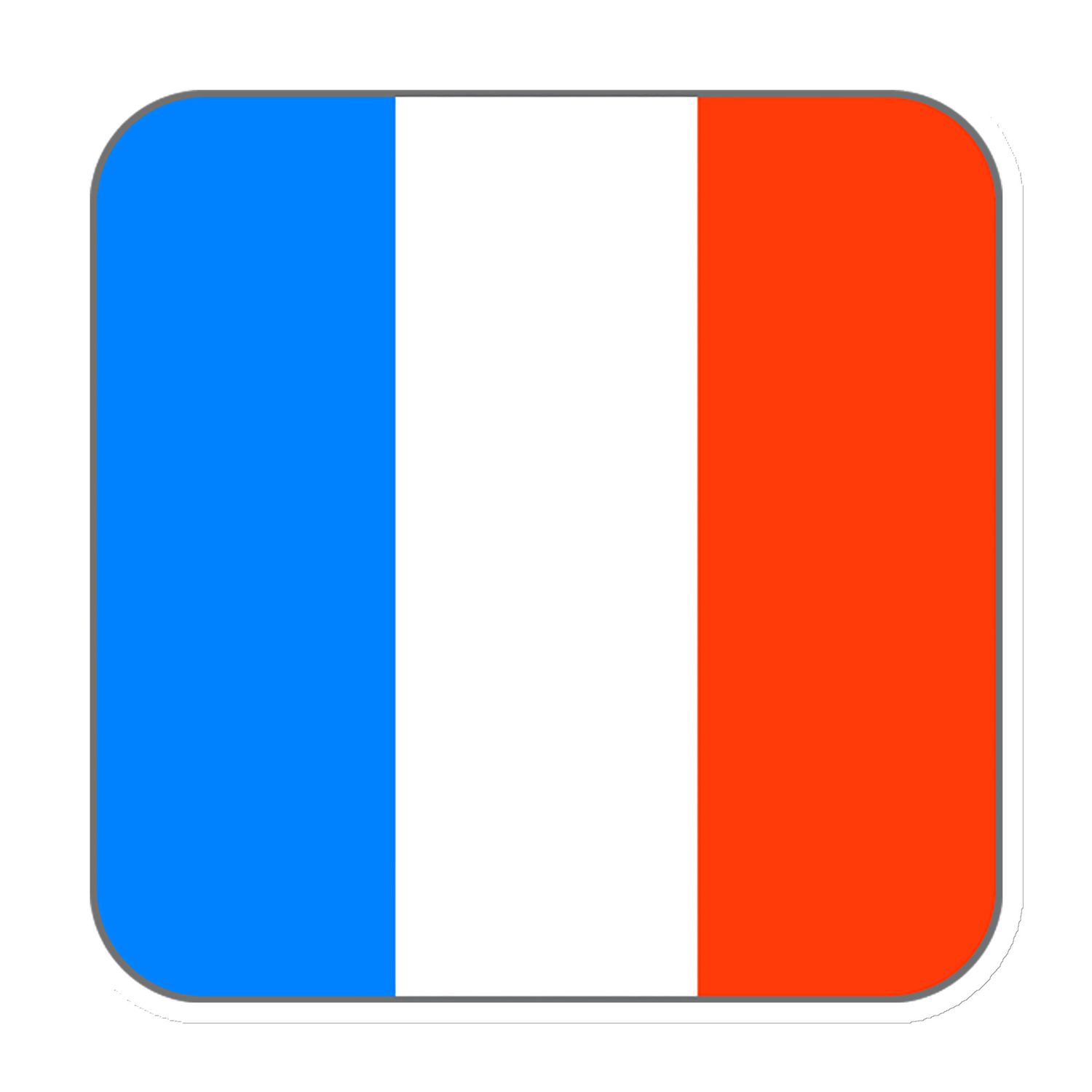 France Flag Magnet