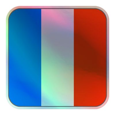 France Flag Holographic Sticker