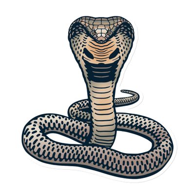 Indian King Cobra Magnet