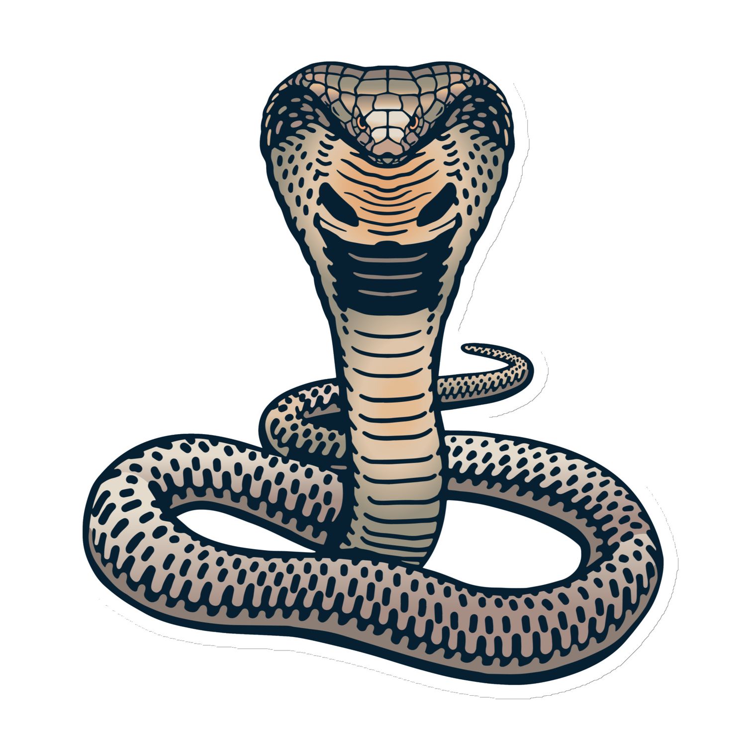 Indian King Cobra Magnet