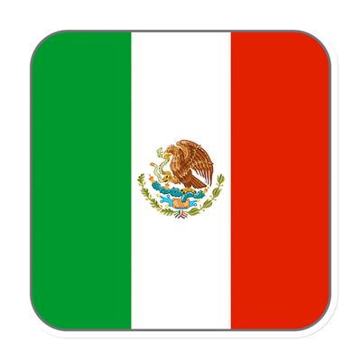 Mexico Flag Magnet