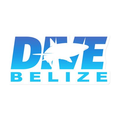 Dive Belize with Shark Magnet