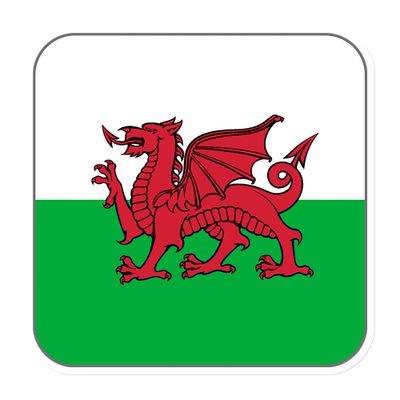 Wales Flag Magnet