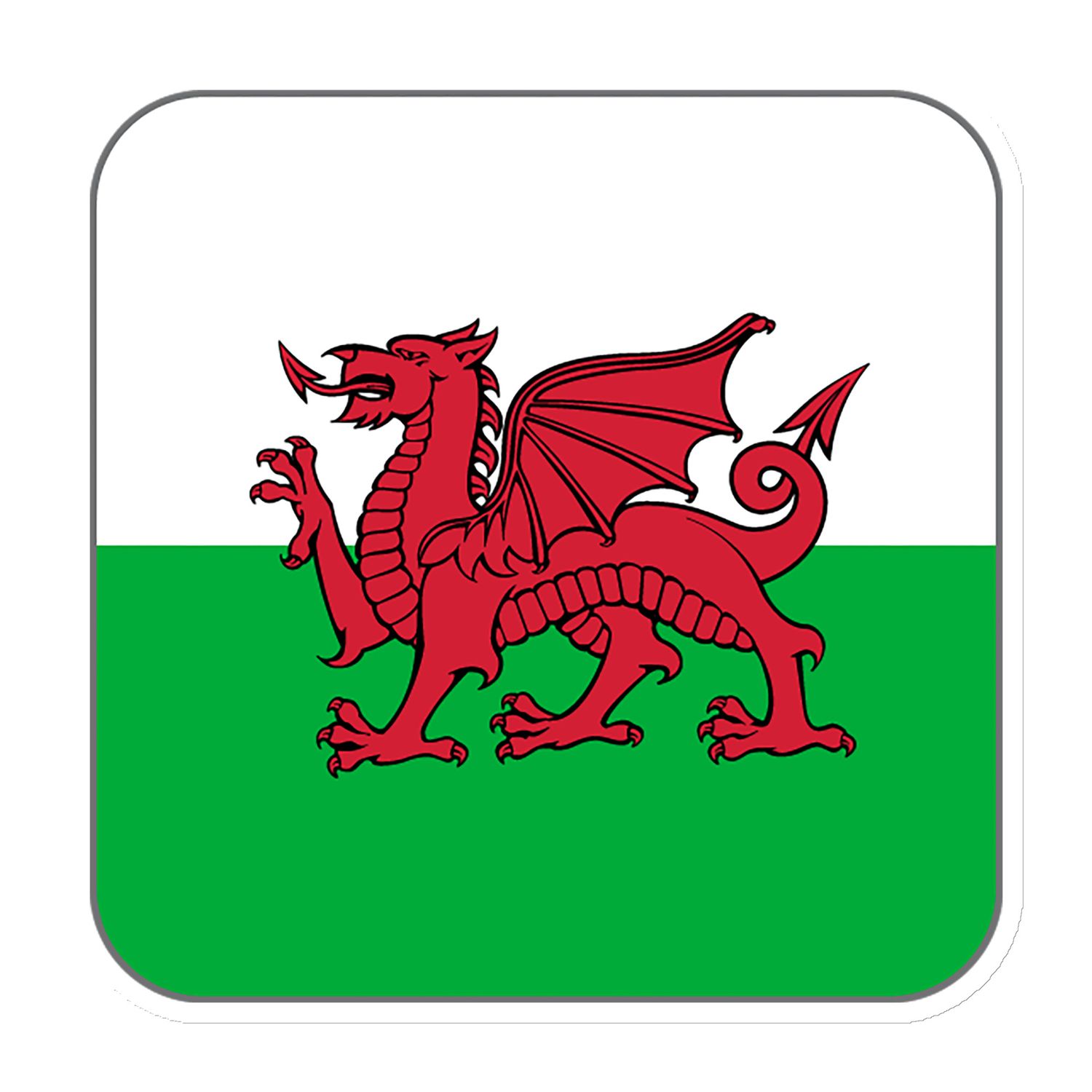Wales Flag Magnet