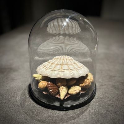 chocoladegeschenken cacaoclub.