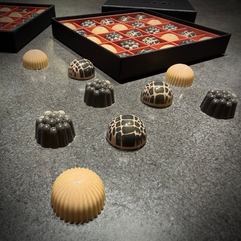 See You Later, Alligator cacaoclub.