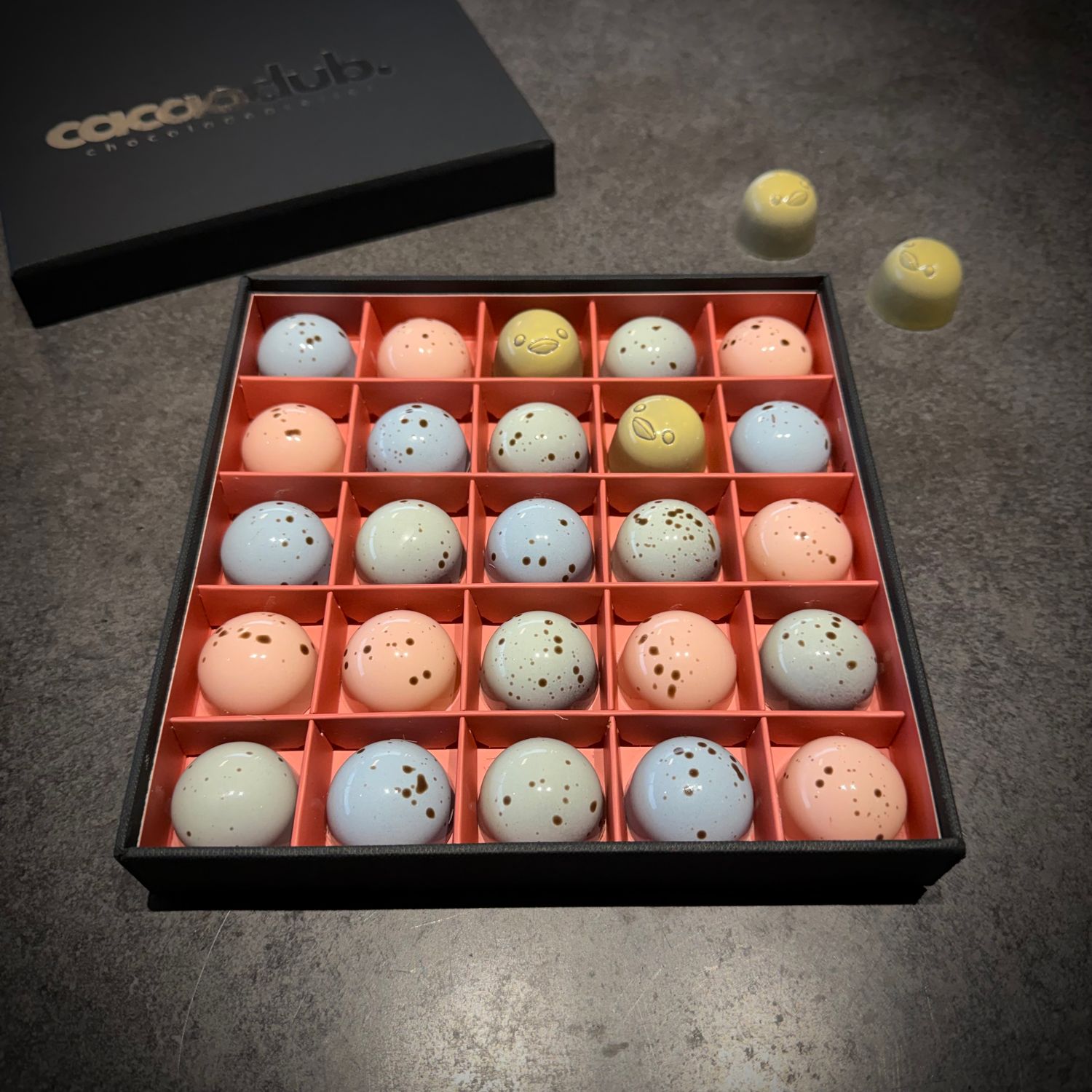 de familie kwartel 25 cacaoclub.