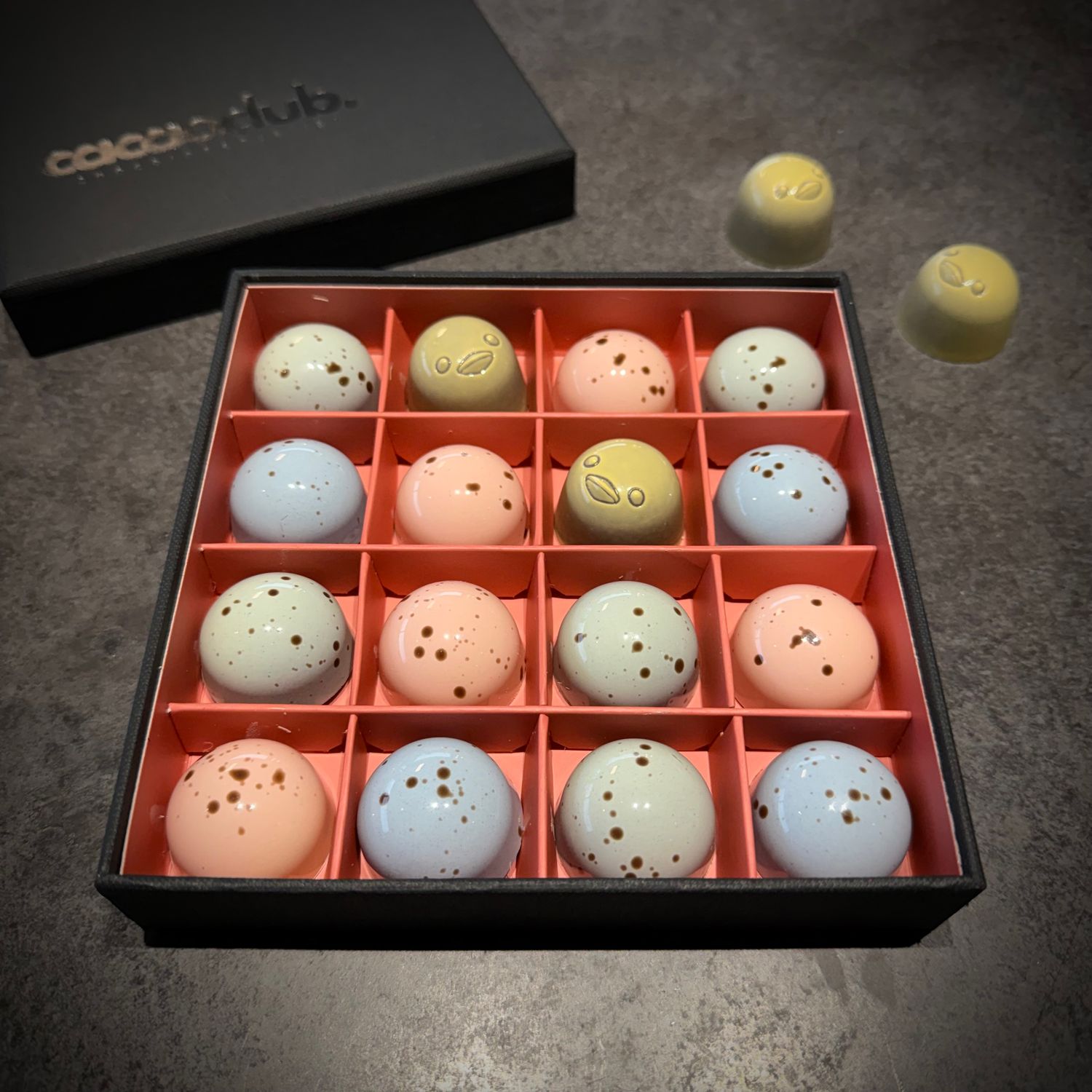 ​de familie kwartel 16 cacaoclub.