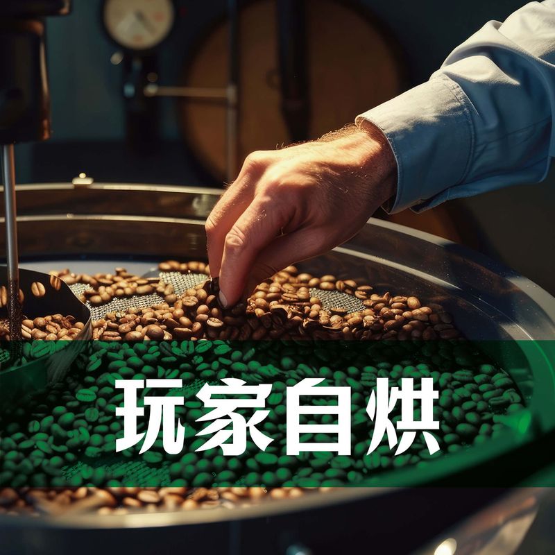 玩家自烘
