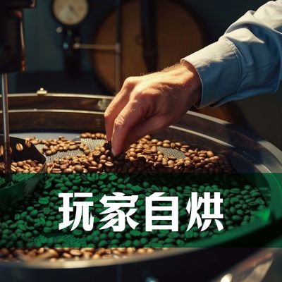 玩家自烘