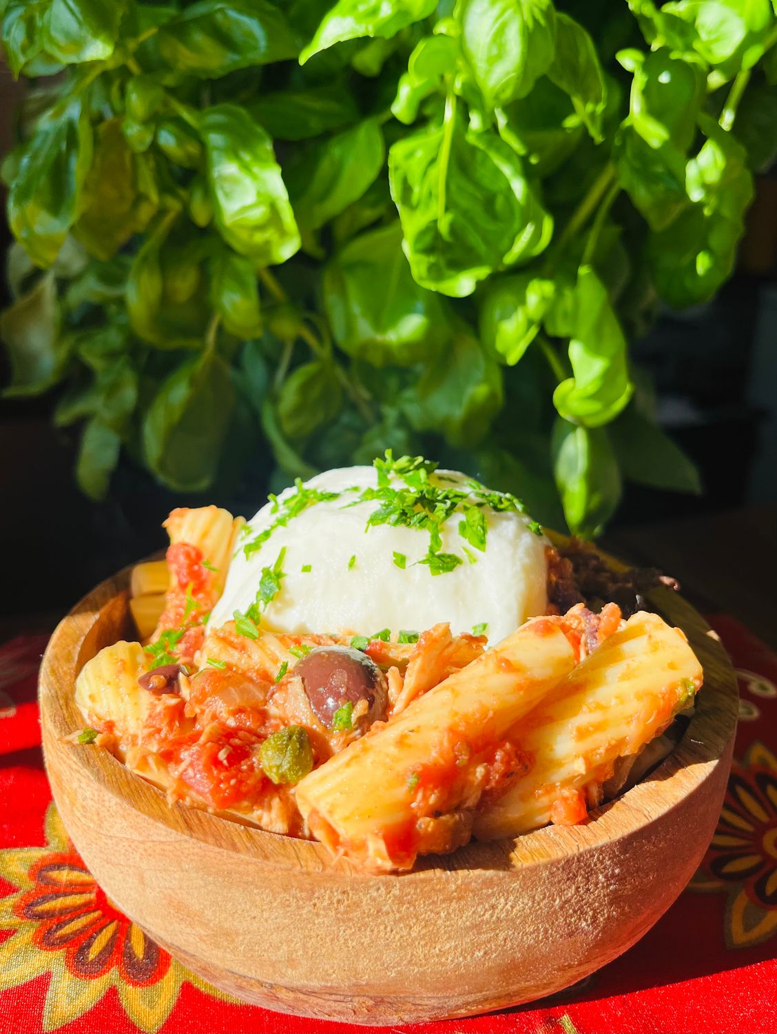Rigatoni puttanesca et Burratina (tomate, oignon, câpres et anchois), Size: Individuel