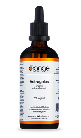 Orange - Astragalus