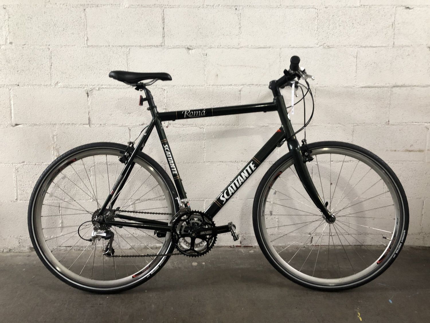 Scattante Roma Bicycle