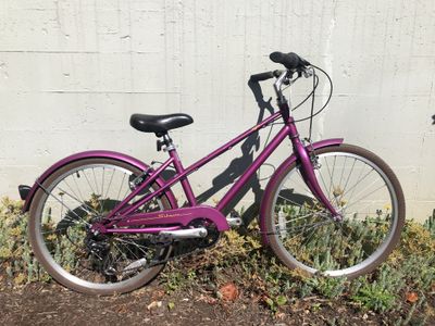 Schwinn Mifflin Purple 24"