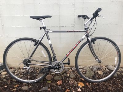 Novara Randonee Bicycle