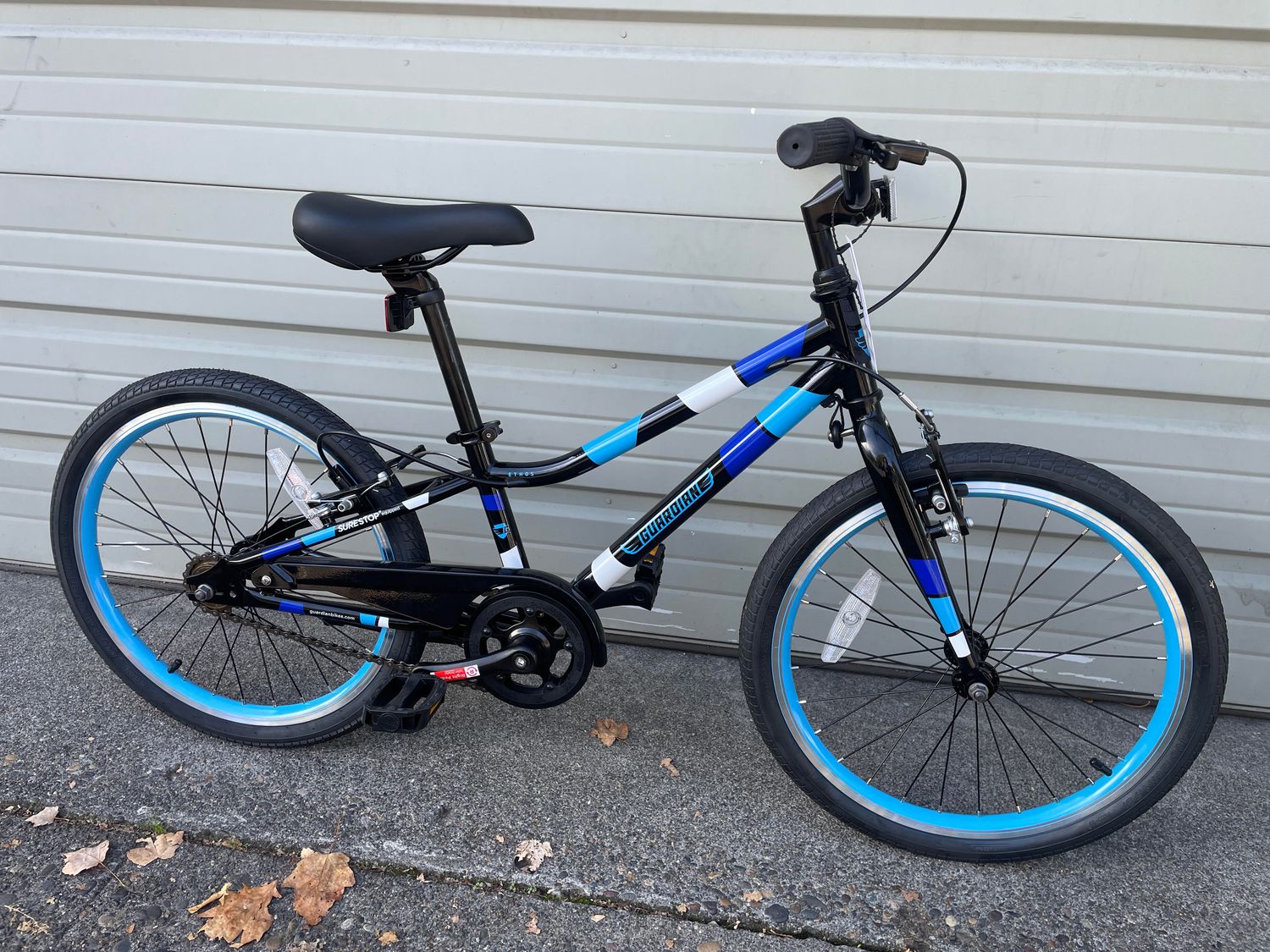 Guardian Ethos Bicycle