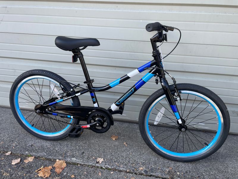 Guardian Ethos Bicycle