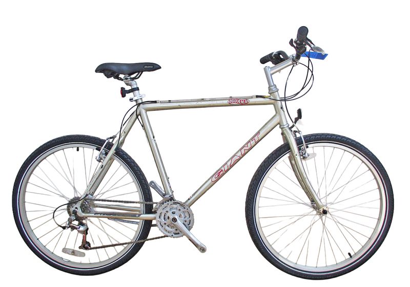 Giant Iguana Bicycle