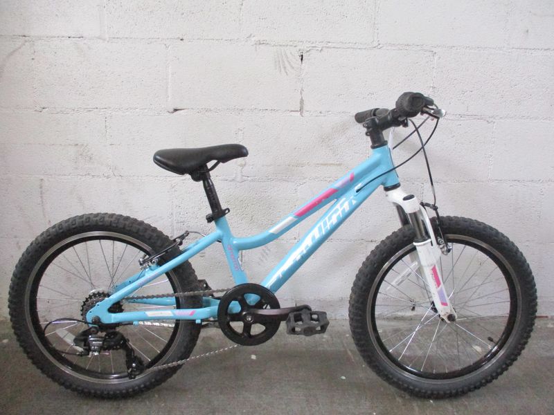 Schwinn Cimarron Bicycle