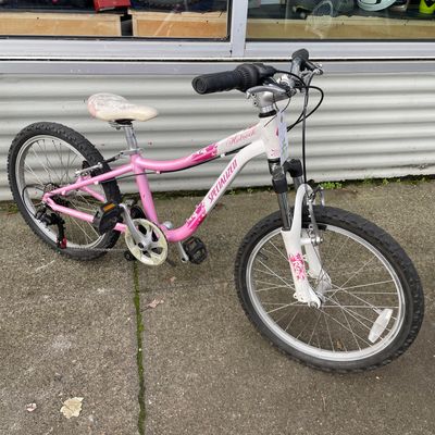 Specialized Hotrock 20 Bicycle