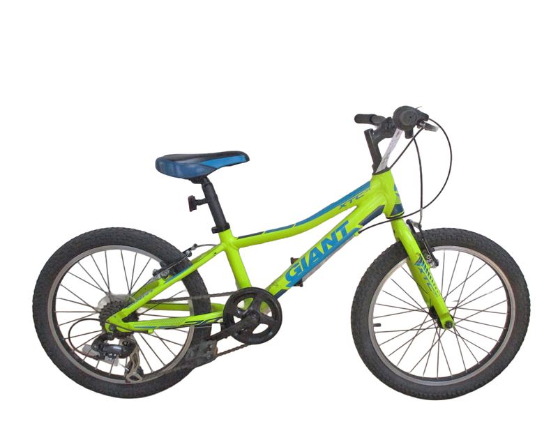 Giant XTC JR 20 Bicycle
