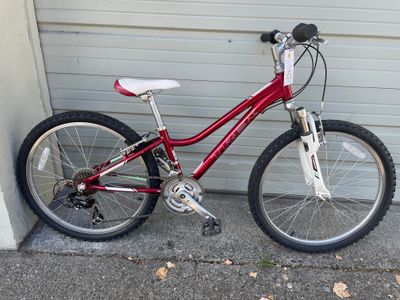 Trek MT220 24 Bicycle