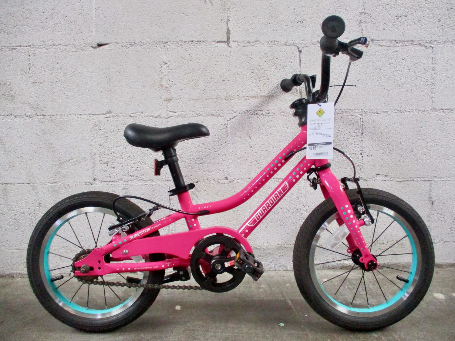 Guardian Ethos 14 Bicycle