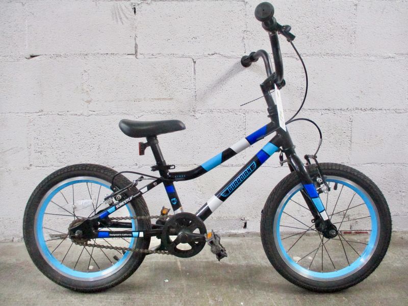 Guardian Ethos 16 Bicycle