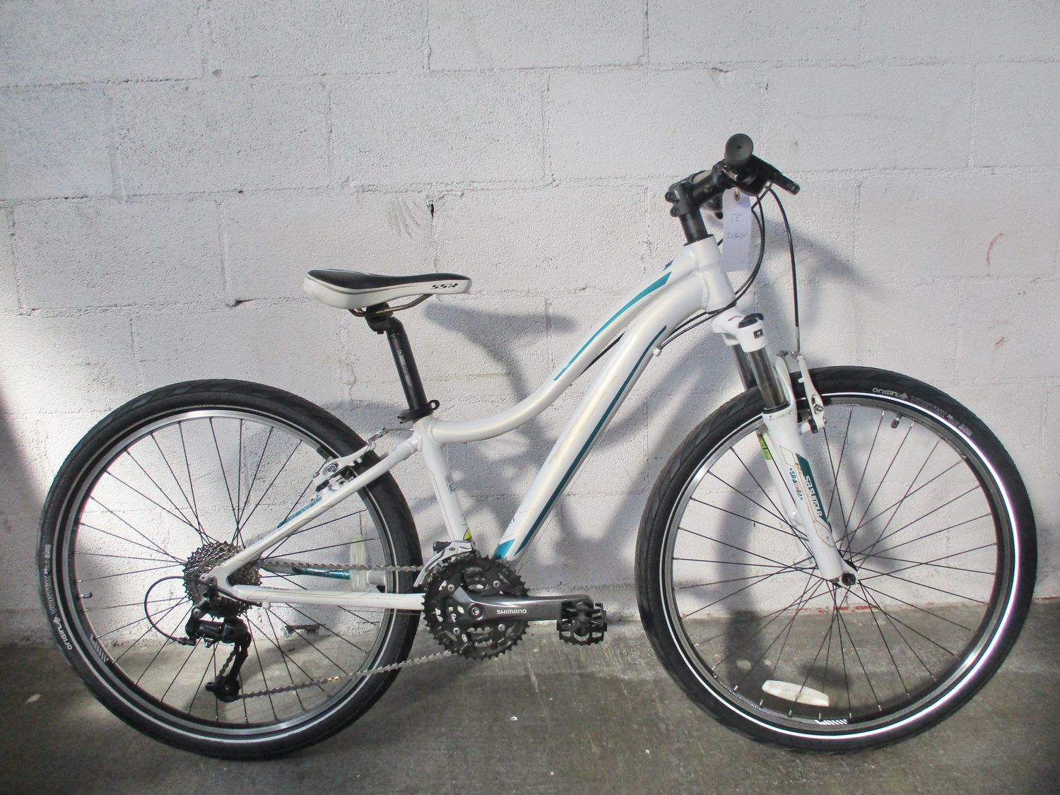 Trek Skye SL Bicycle
