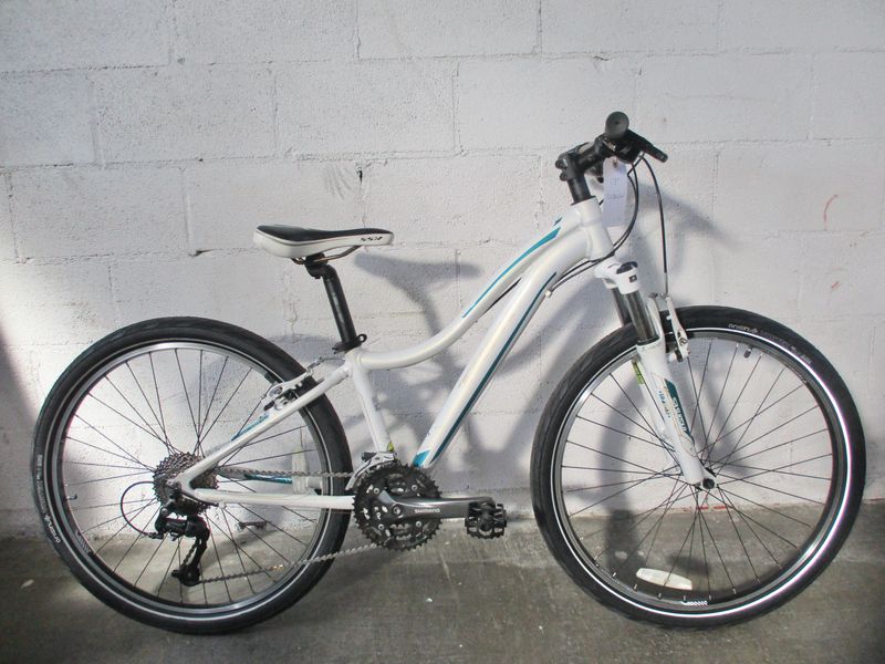 Trek Skye SL Bicycle