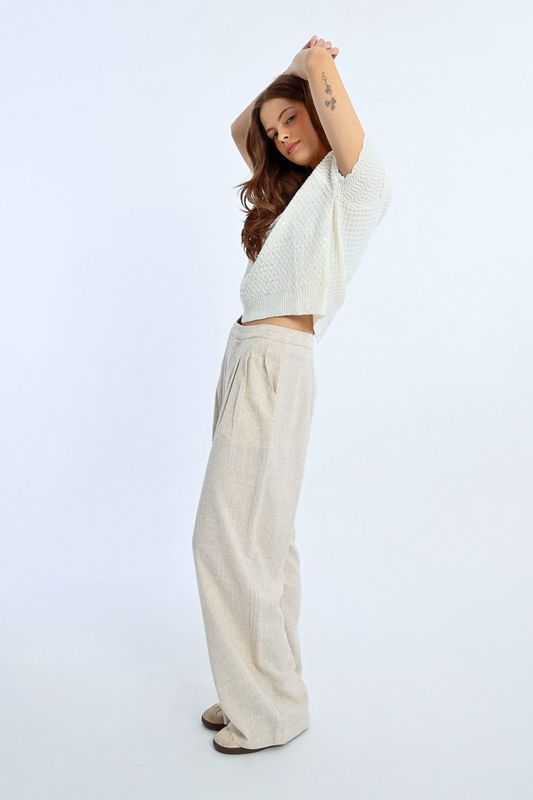 Pleated Linen Pants