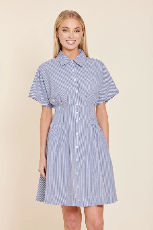 Stripe Dart Waist Dress