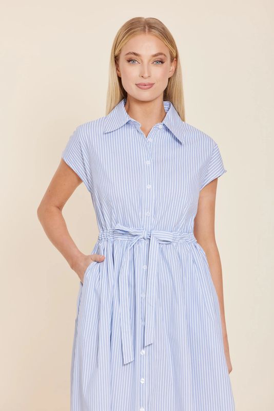 Poplin Striped Tie Waist Dress