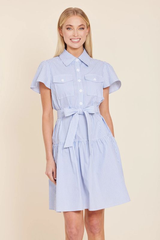 Stripe Belted Dress