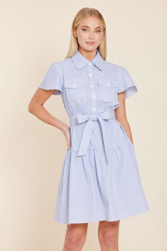 Stripe Belted Dress
