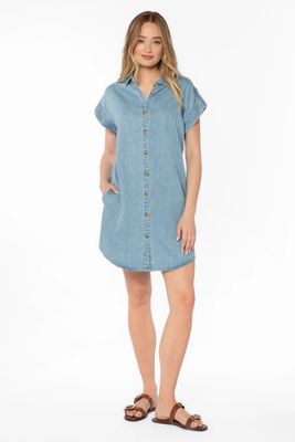 Oria Denim Dress
