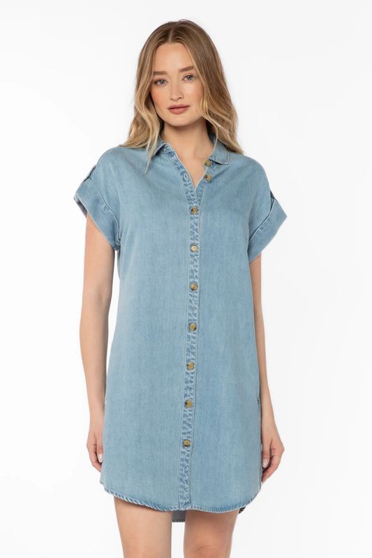 Oria Denim Dress