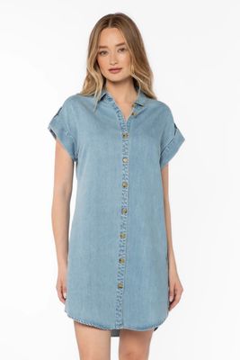 Oria Denim Dress