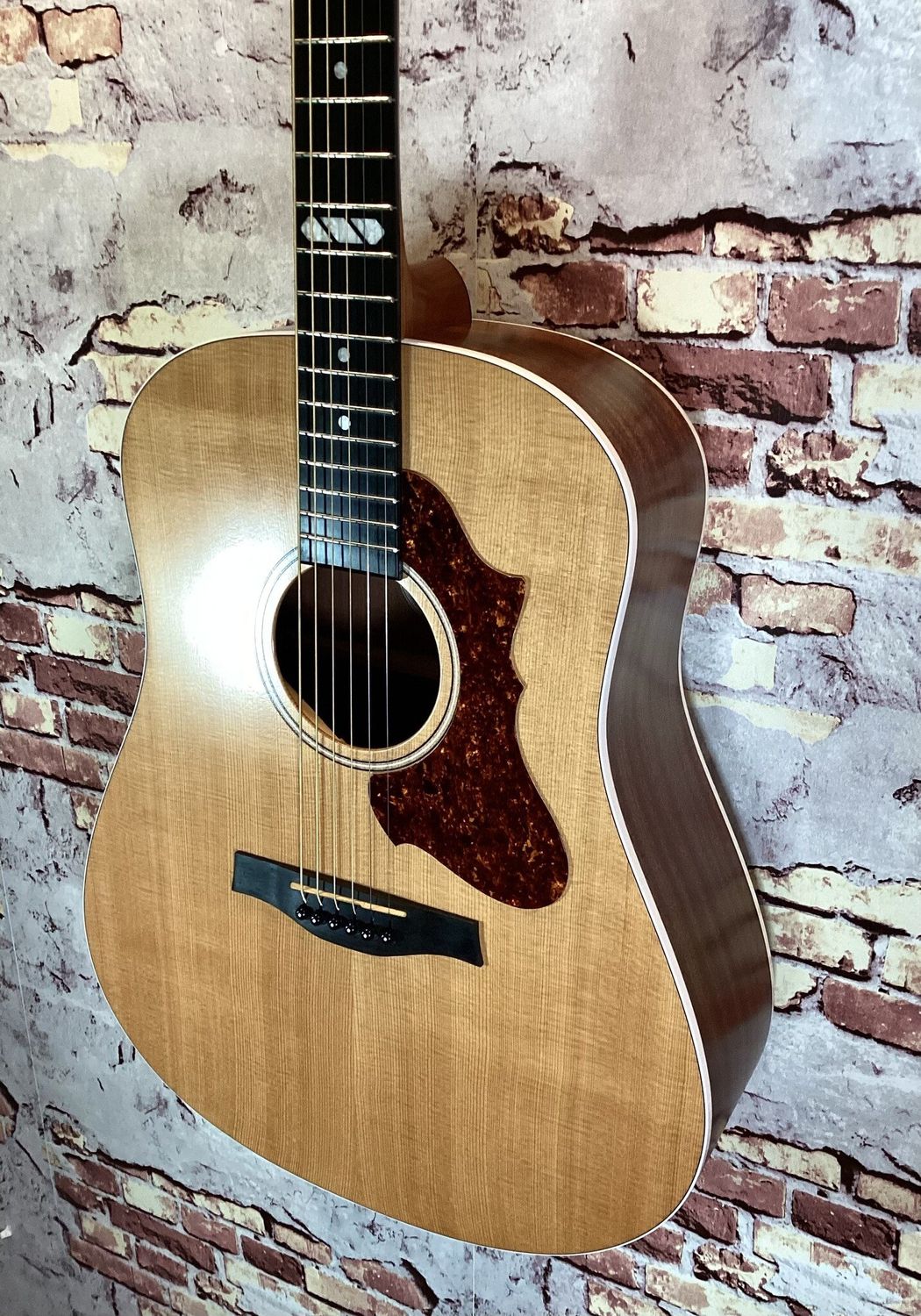 Godin QIT Metropolis Classic w/tric 048502