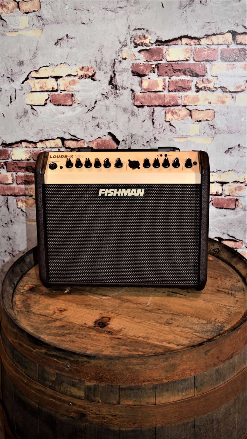 Fishman Pro-LBT 500 Loudbox Mini with Bluetooth