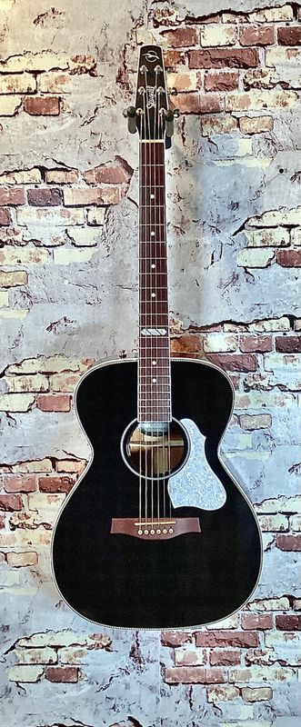Seagull Artist Tuxedo Ltd Edition with TRIC Case - Preowned