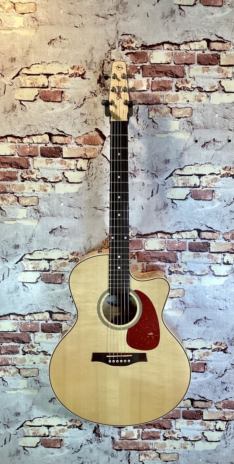 Seagull Performer CW Mini-Jumbo Flame Maple QI w/ Gig Bag - Pre owned