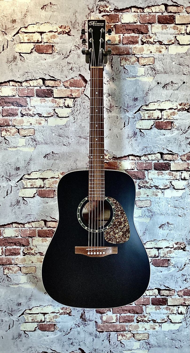 Norman Protege B18 Cedar - Pre-Owned