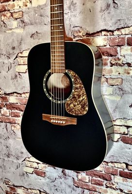 Norman Protege B18 Cedar - Pre-Owned