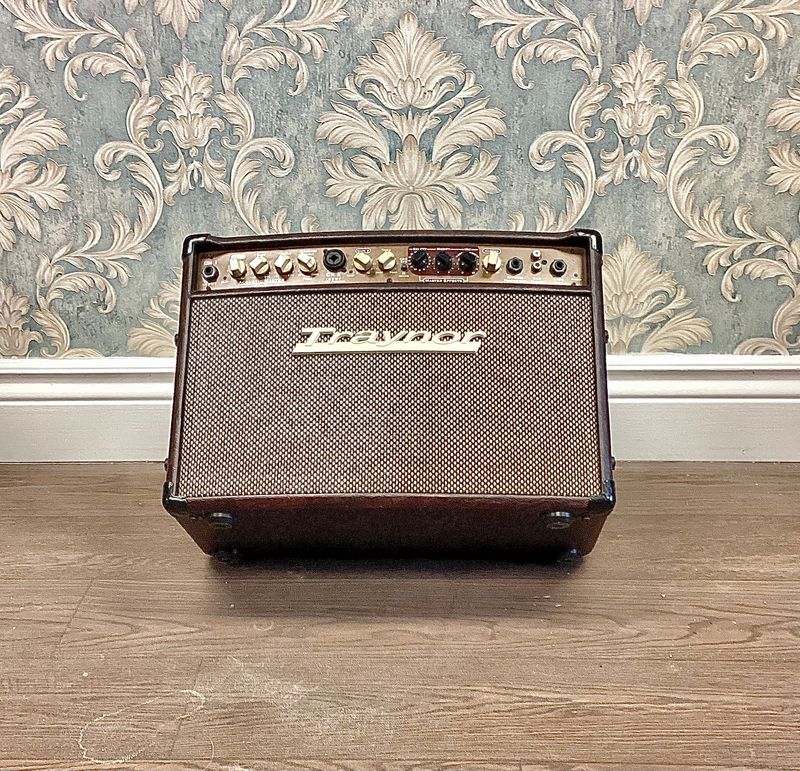 Traynor Acoustic Master Studio 65-Watt 1x8&quot; Acoustic Guitar/Vocal Amplifier - Pre Owned