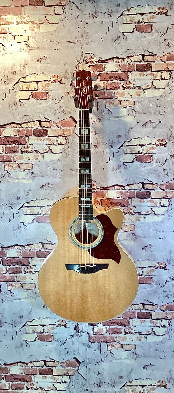 Takamine  EG523SC - 2003